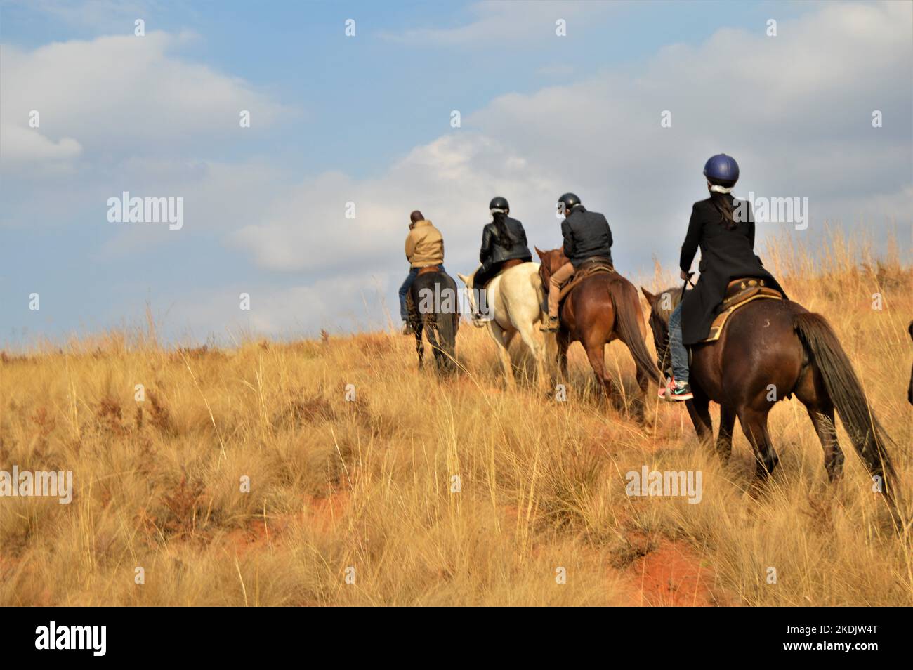 Groupe d'équitation indien riders sur un sentier dans la région du Drakensberg en Afrique Banque D'Images