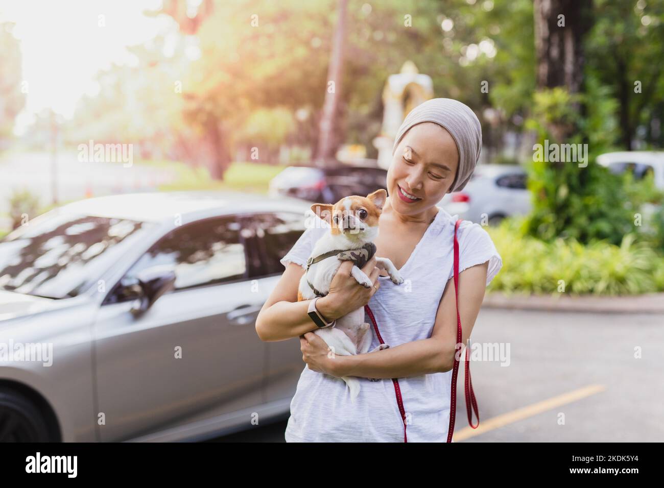 Belle femme tenant chien Chihuahua dans le jardin extérieur. Banque D'Images