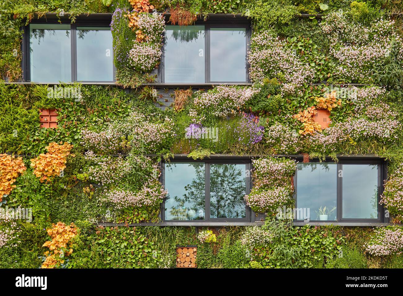 Extérieur d'un bâtiment vert durable recouvert de plantes suspendues verticales en fleurs Banque D'Images