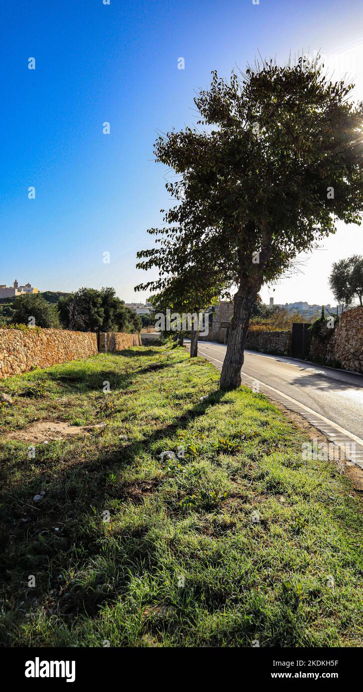 Une route de campagne près de Santa Lucija, sur l'île méditerranéenne de Gozo, dans l'archipel maltais. Banque D'Images
