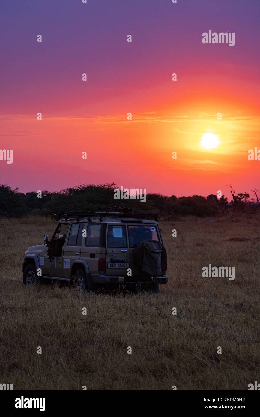 Jeep Safari avec les touristes au coucher du soleil, parc national de Chobe, Botswana Afrique. Voyage africain. Banque D'Images