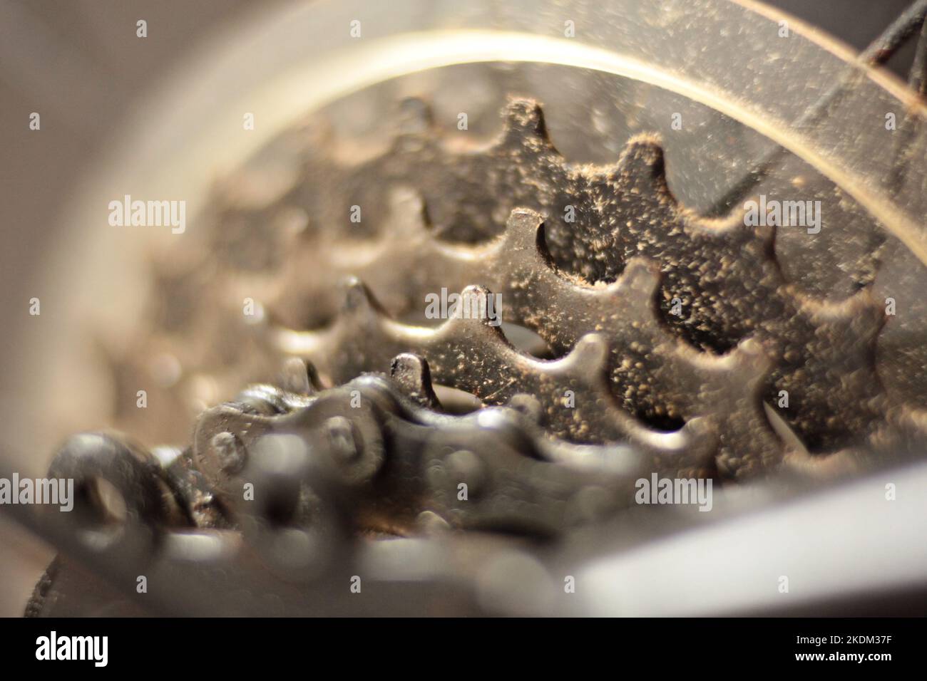 Macro de cyclisme. Fermer les engrenages de roue arrière et la chaîne avec de la saleté et des grains. Faible profondeur de champ. Banque D'Images