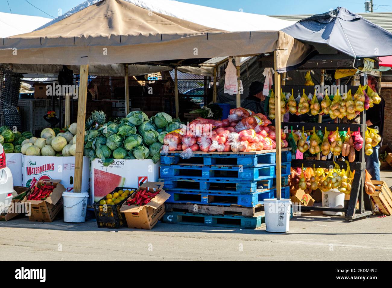 Immokalee Produce Centre, New Market Road West, Immokalee, Floride Banque D'Images