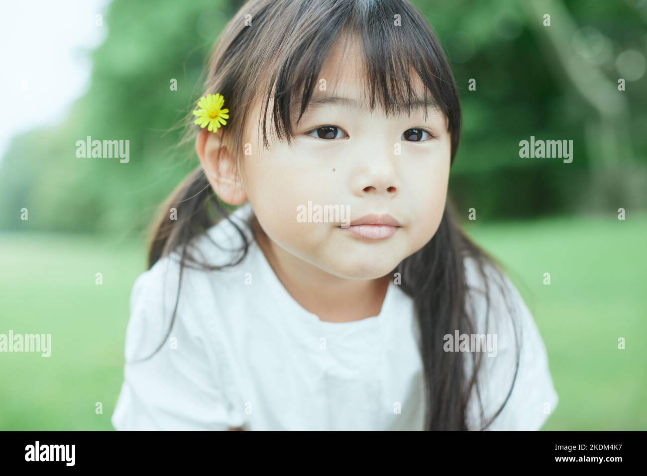 Enfant japonais au parc de la ville Banque D'Images