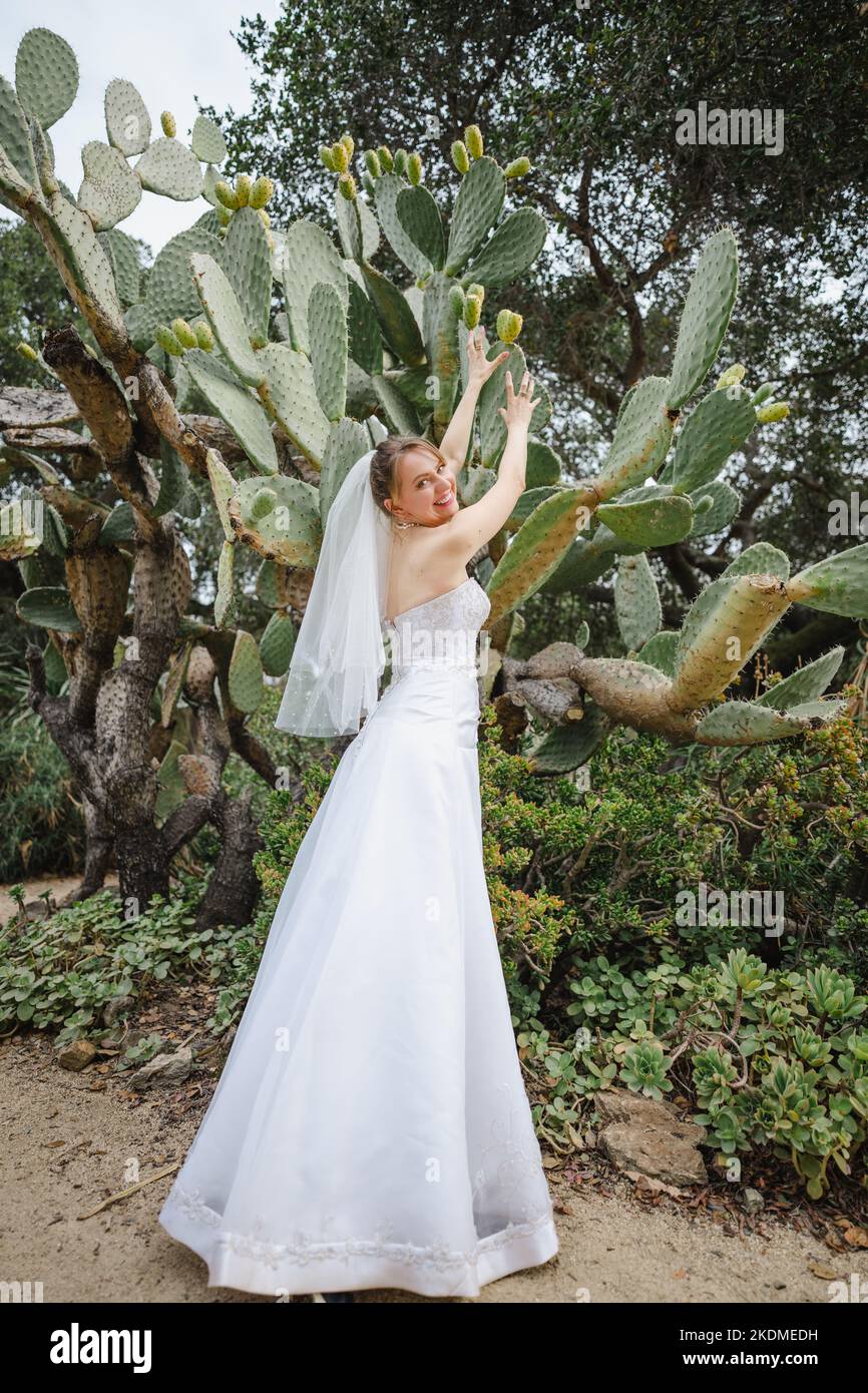 Photo amusante de Bride pour atteindre le fruit de cactus de Pear de Prickly dans un jardin Banque D'Images