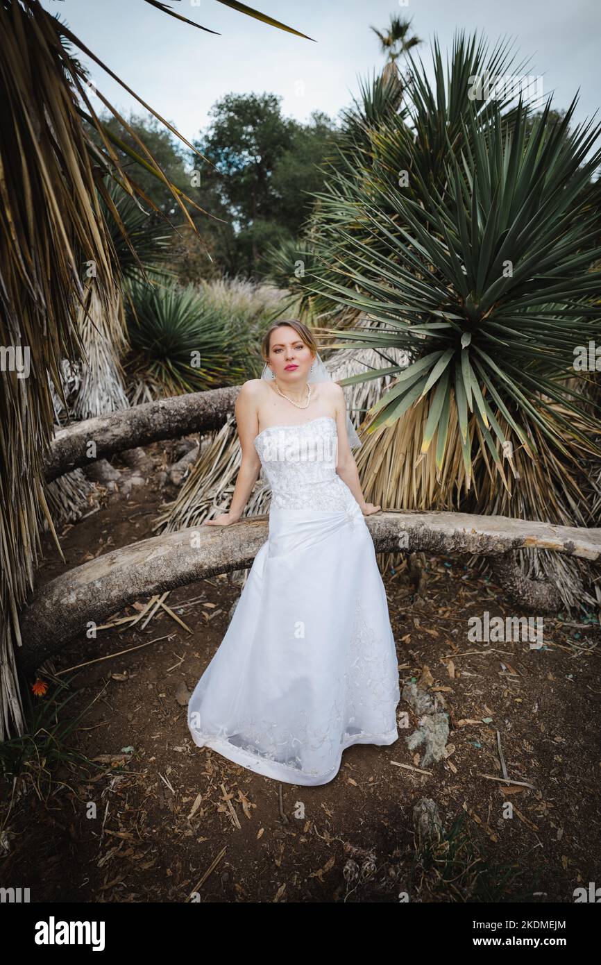 Mariée entourée par le jardin des arbres de Yucca Banque D'Images