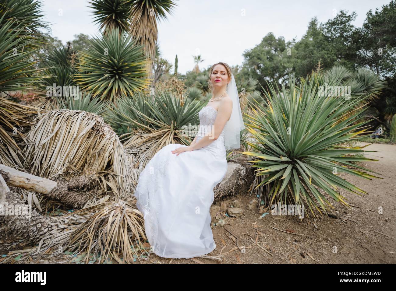 Mariée entourée par le jardin des arbres de Yucca Banque D'Images