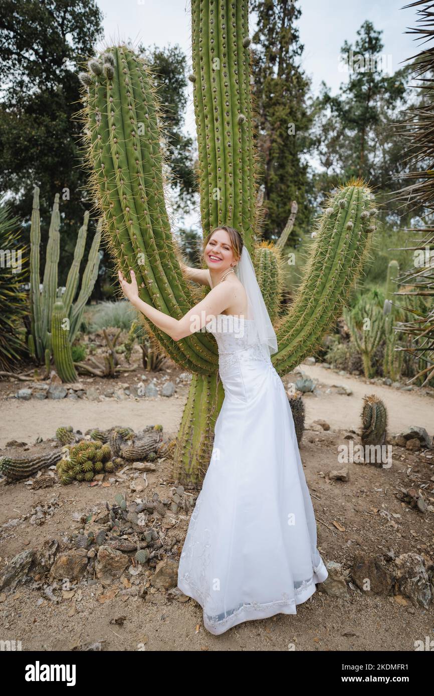 Mariée guaring Aro Cactus Banque D'Images