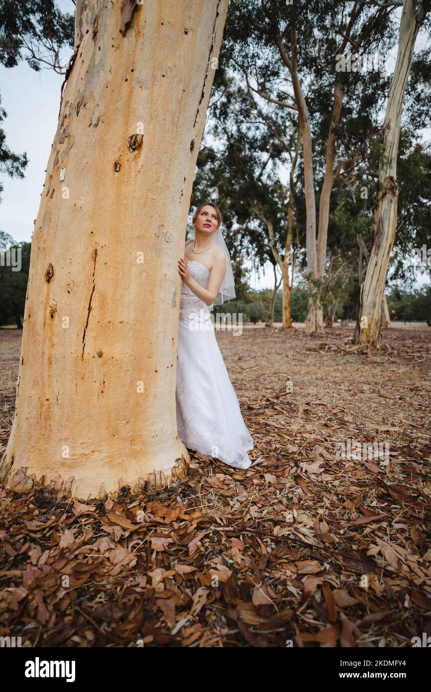 Bride à l'écart dans Eucalyptus Grove Banque D'Images