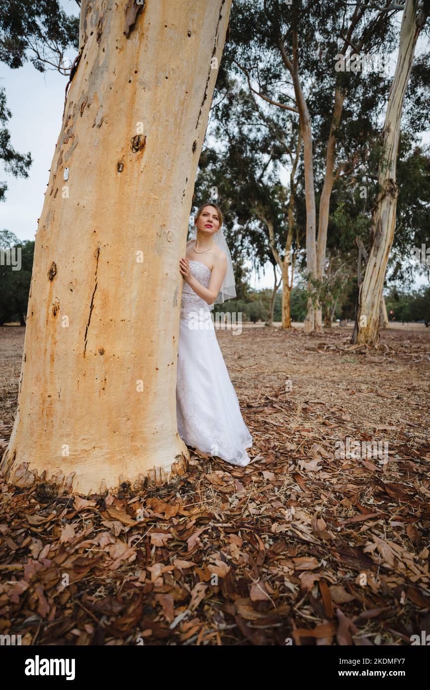 Bride à l'écart dans Eucalyptus Grove Banque D'Images