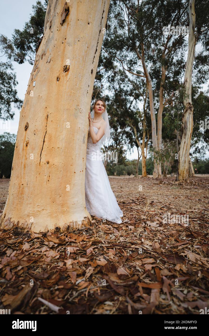 Bride à l'écart dans Eucalyptus Grove Banque D'Images