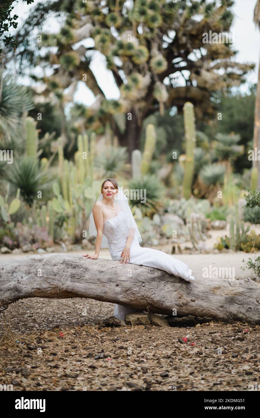 Mariée assise sur un grand arbre tombé dans le jardin de Cactus Banque D'Images