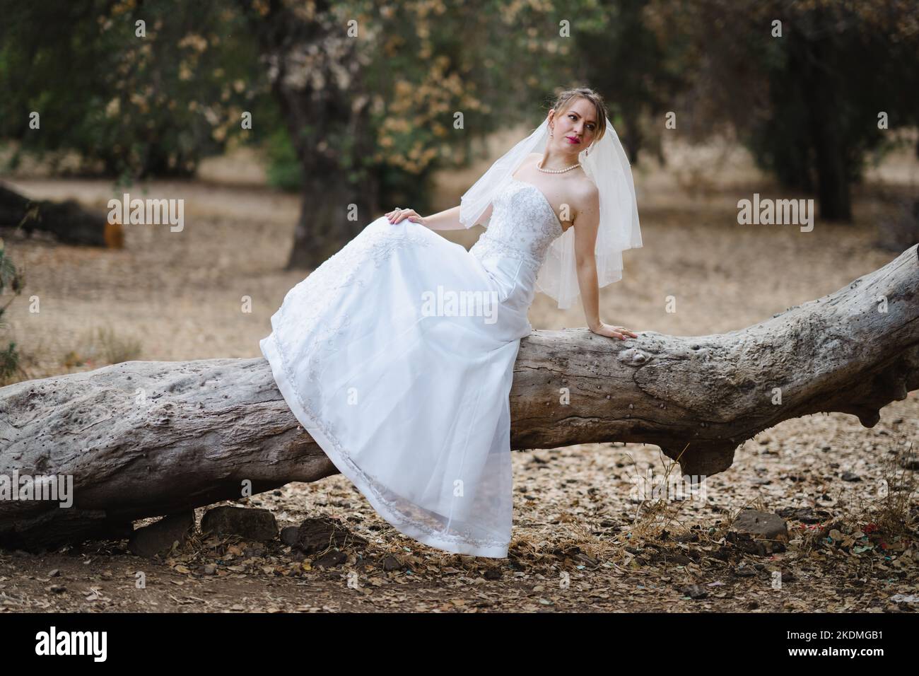 Mariée assise sur un grand arbre tombé dans le bosquet des chênes de Californie Banque D'Images