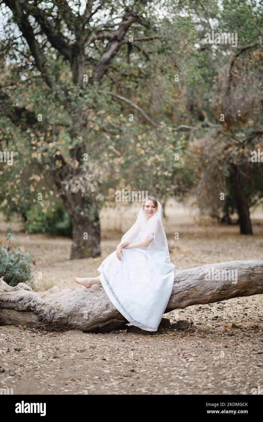 Mariée assise sur un grand arbre tombé dans le bosquet des chênes de Californie Banque D'Images