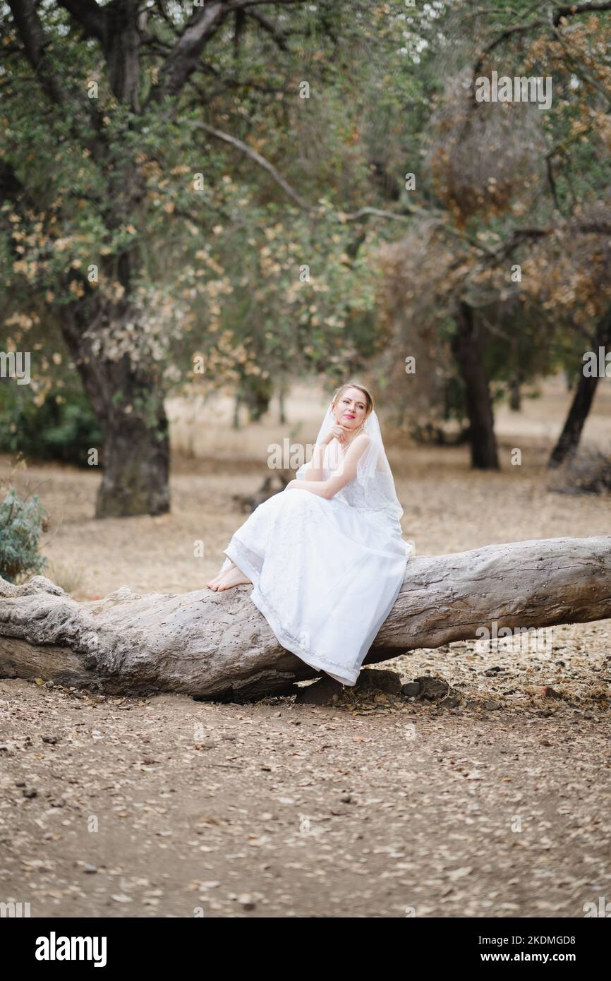 Mariée assise sur un grand arbre tombé dans le bosquet des chênes de Californie Banque D'Images