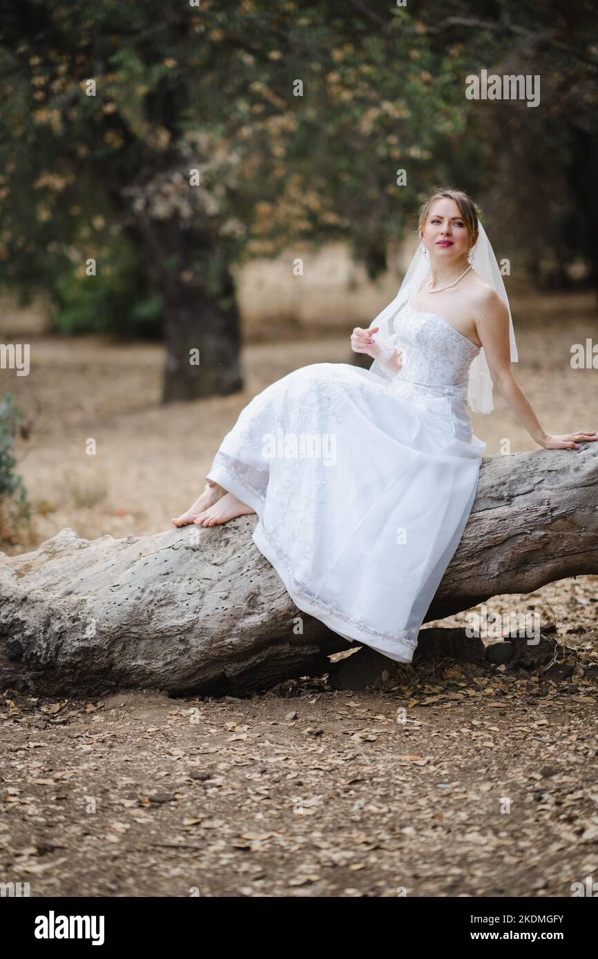 Mariée assise sur un grand arbre tombé dans le bosquet des chênes de Californie Banque D'Images