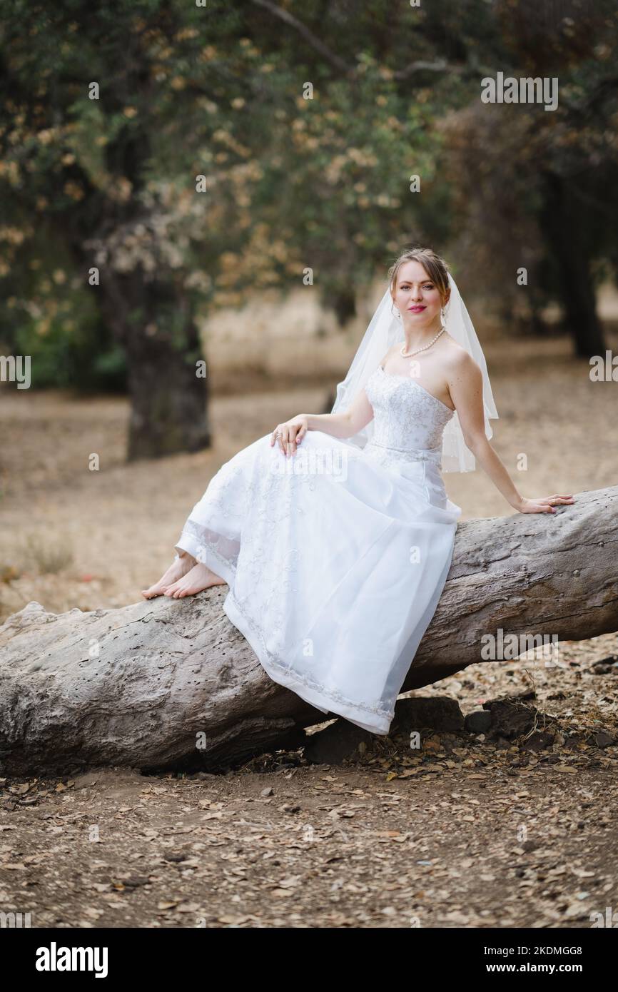 Mariée assise sur un grand arbre tombé dans le bosquet des chênes de Californie Banque D'Images