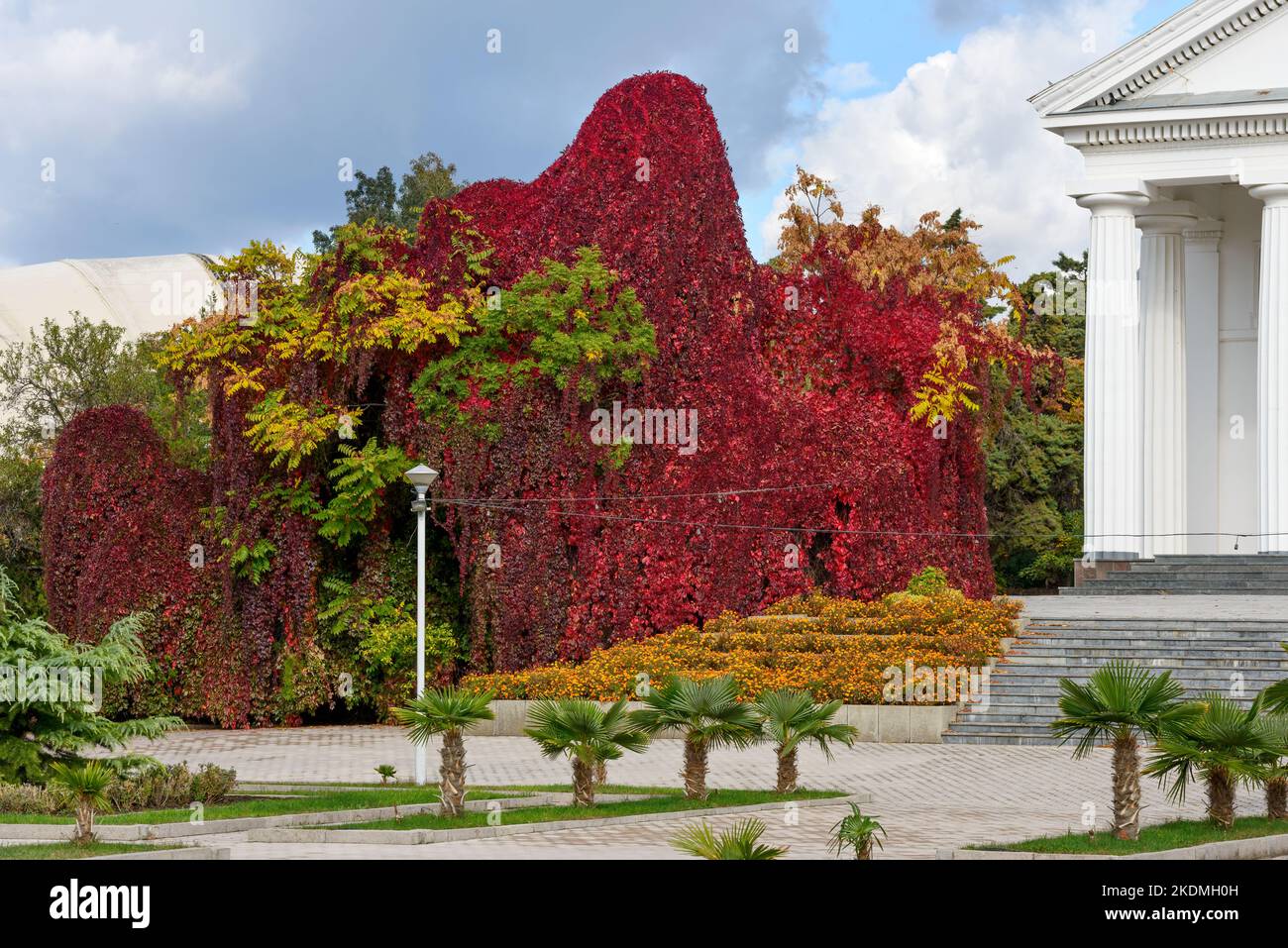 Des plantes d'automne lumineuses sont dans le parc près du portique Dorian blanc de construction en plein soleil. Banque D'Images