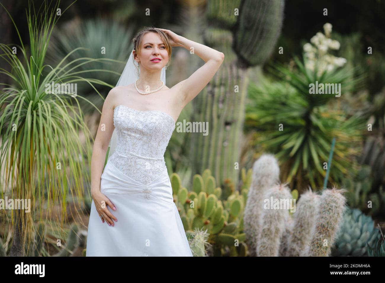 Mariée debout dans un jardin de Cactus Banque D'Images