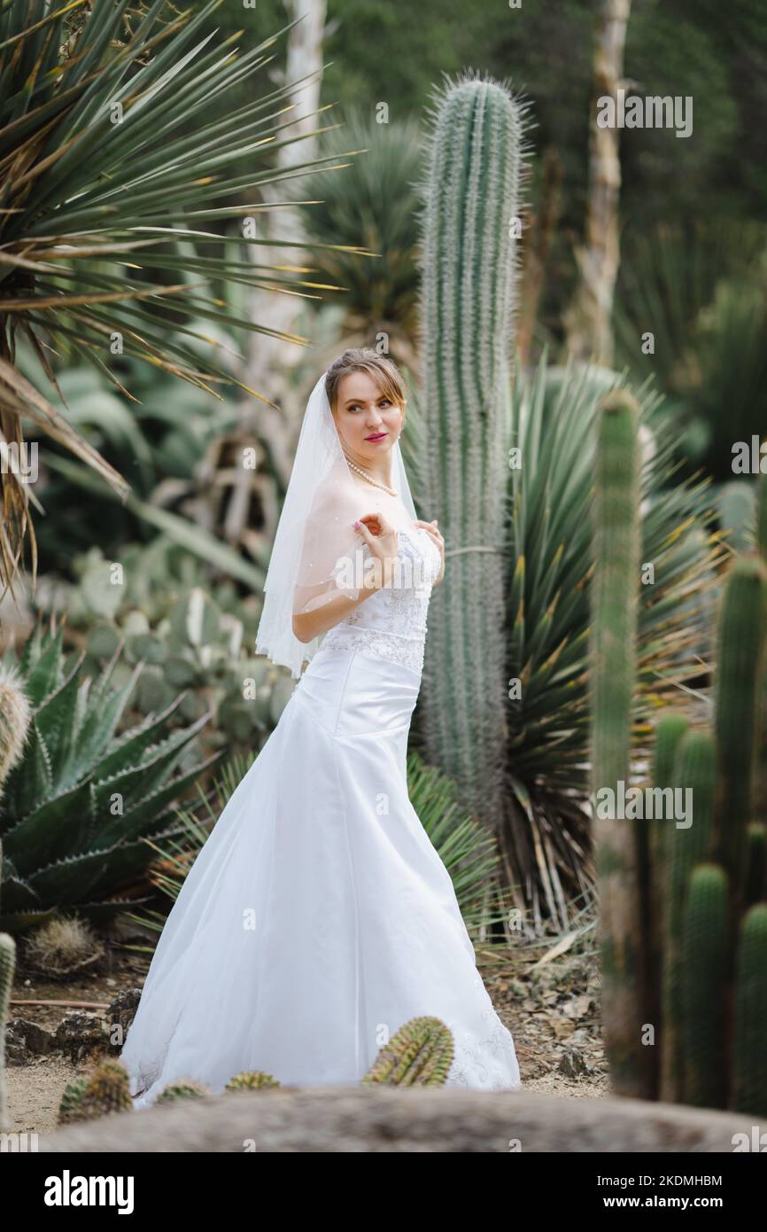 Mariée marchant dans le jardin de Cactus Banque D'Images