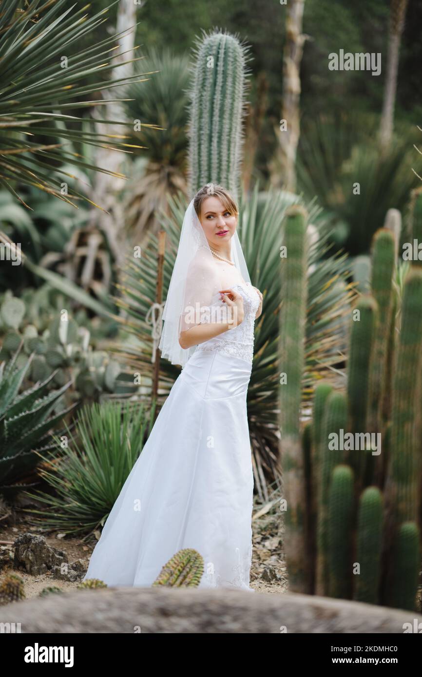 Mariée marchant dans le jardin de Cactus Banque D'Images