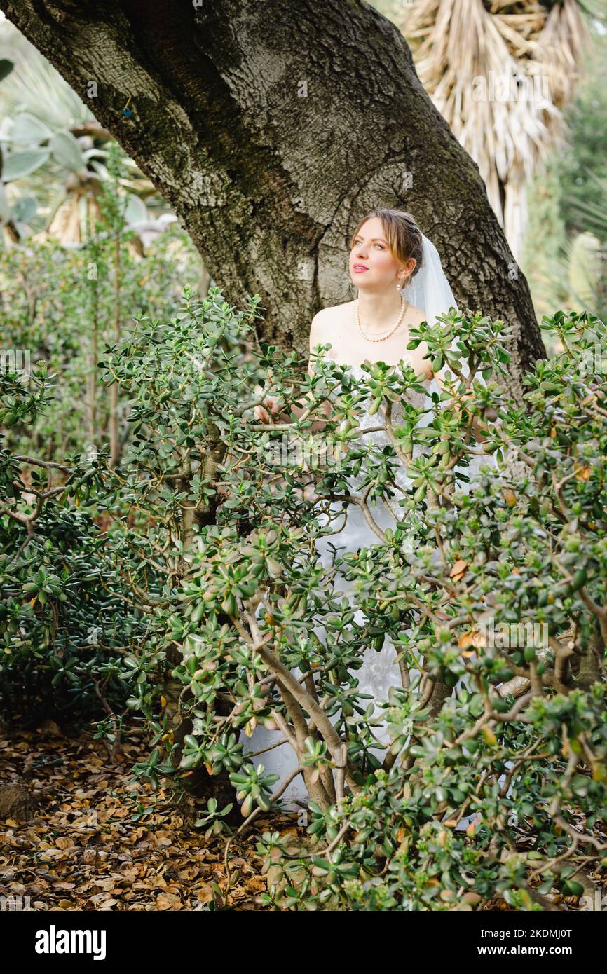 Mariée penchée contre le chêne dans un jardin de Cactus Banque D'Images