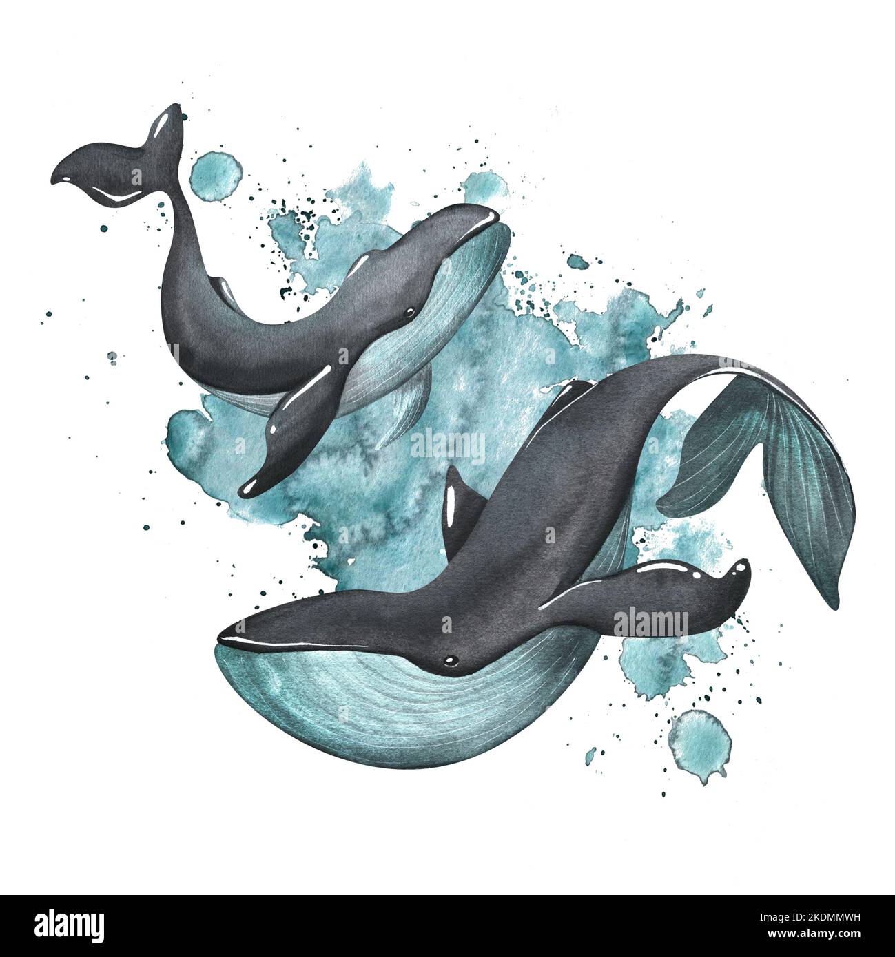 Baleines noires de couleur turquoise sur fond d'éclaboussures de peinture. Illustration aquarelle. Composition sur un fond blanc de l' Banque D'Images