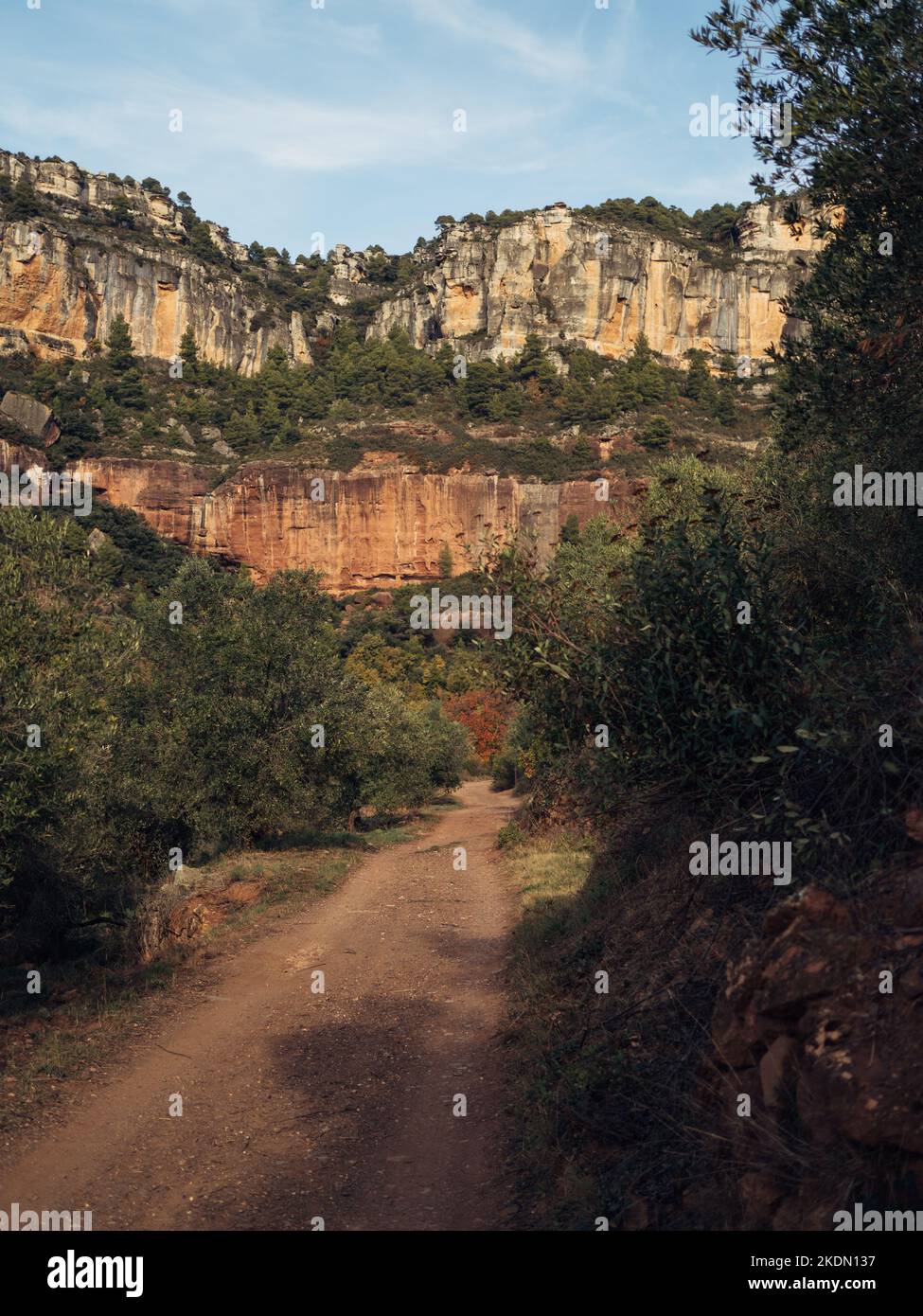 Paysage avec une route de terre dans les montagnes avec forêt à Siurana, El Priorat, Catalogne, Espagne. Banque D'Images