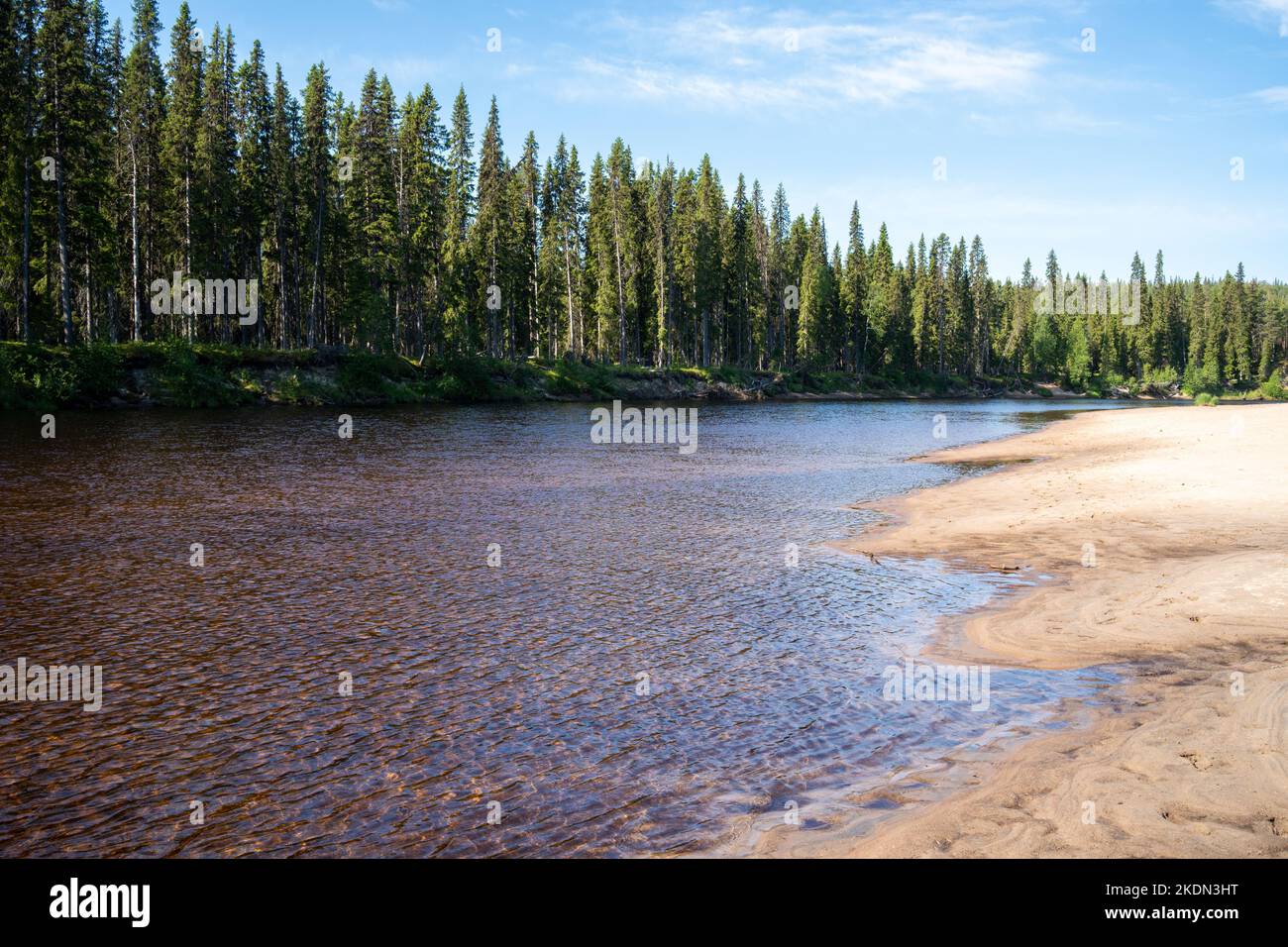 Une plage de sable de Jäkälämutka au bord d'une rivière estivale dans le parc national d'Oulanka, dans le nord de la Finlande Banque D'Images