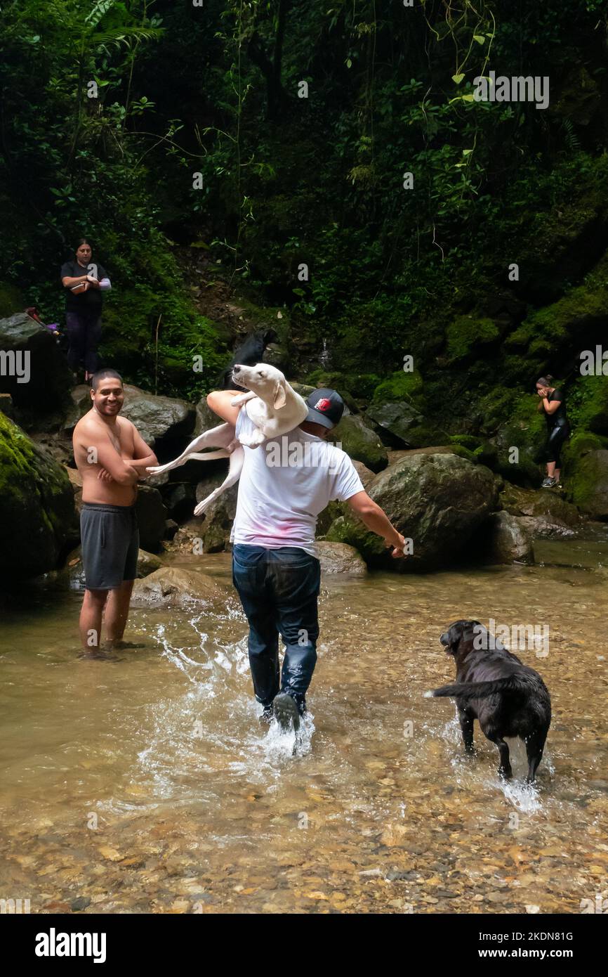 Envigado, Antioquia, Colombie - 27 février 2020: L'homme porte le chien blanc dans ses bras et laisse le chien noir marcher dans la rivière Banque D'Images