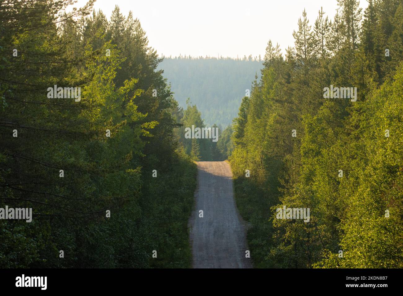 Une petite route en terre menant sur une colline en été dans le nord de la Finlande Banque D'Images