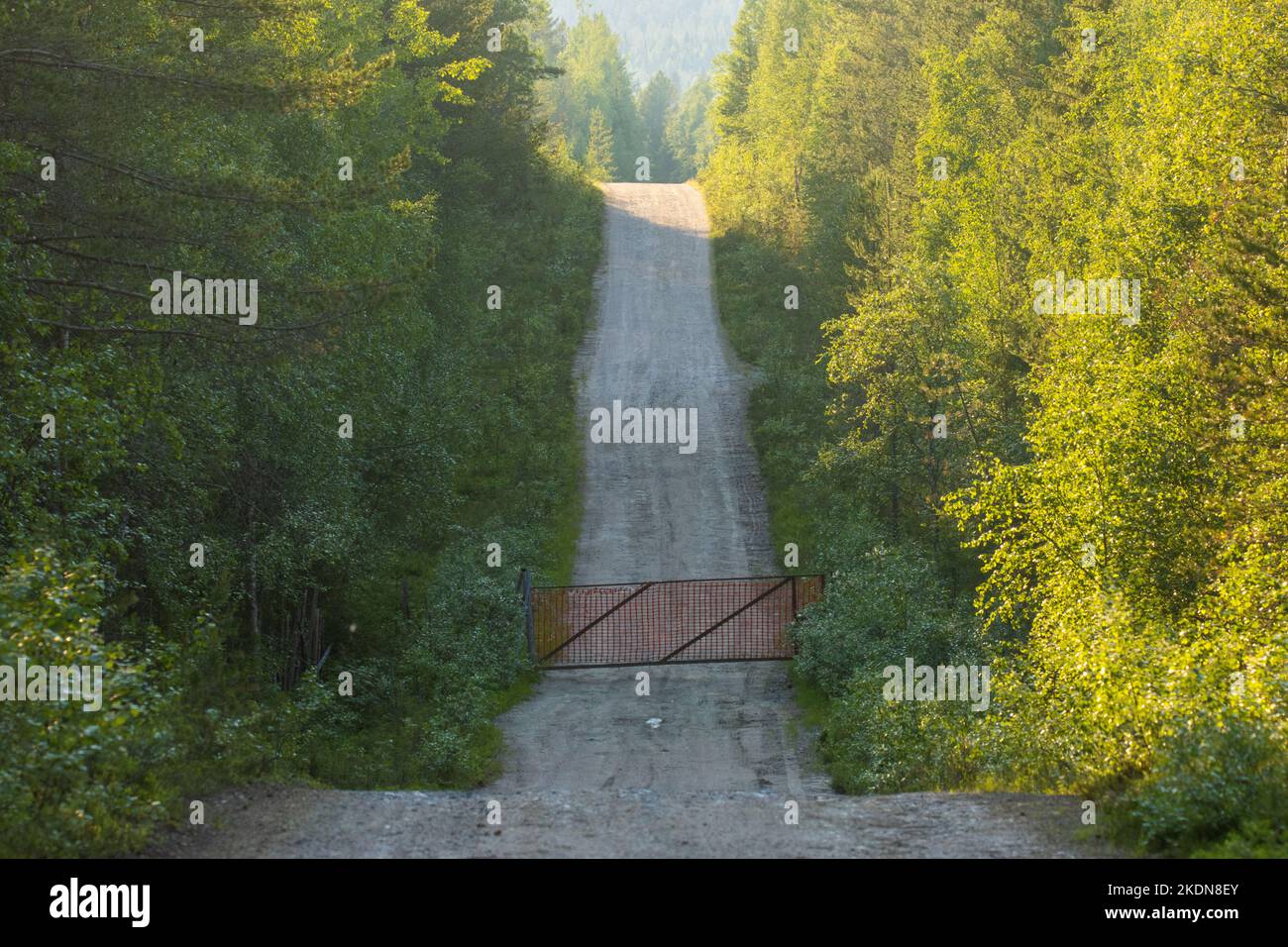 Petite route en terre menant sur une colline avec une clôture en premier plan en été dans le nord de la Finlande Banque D'Images