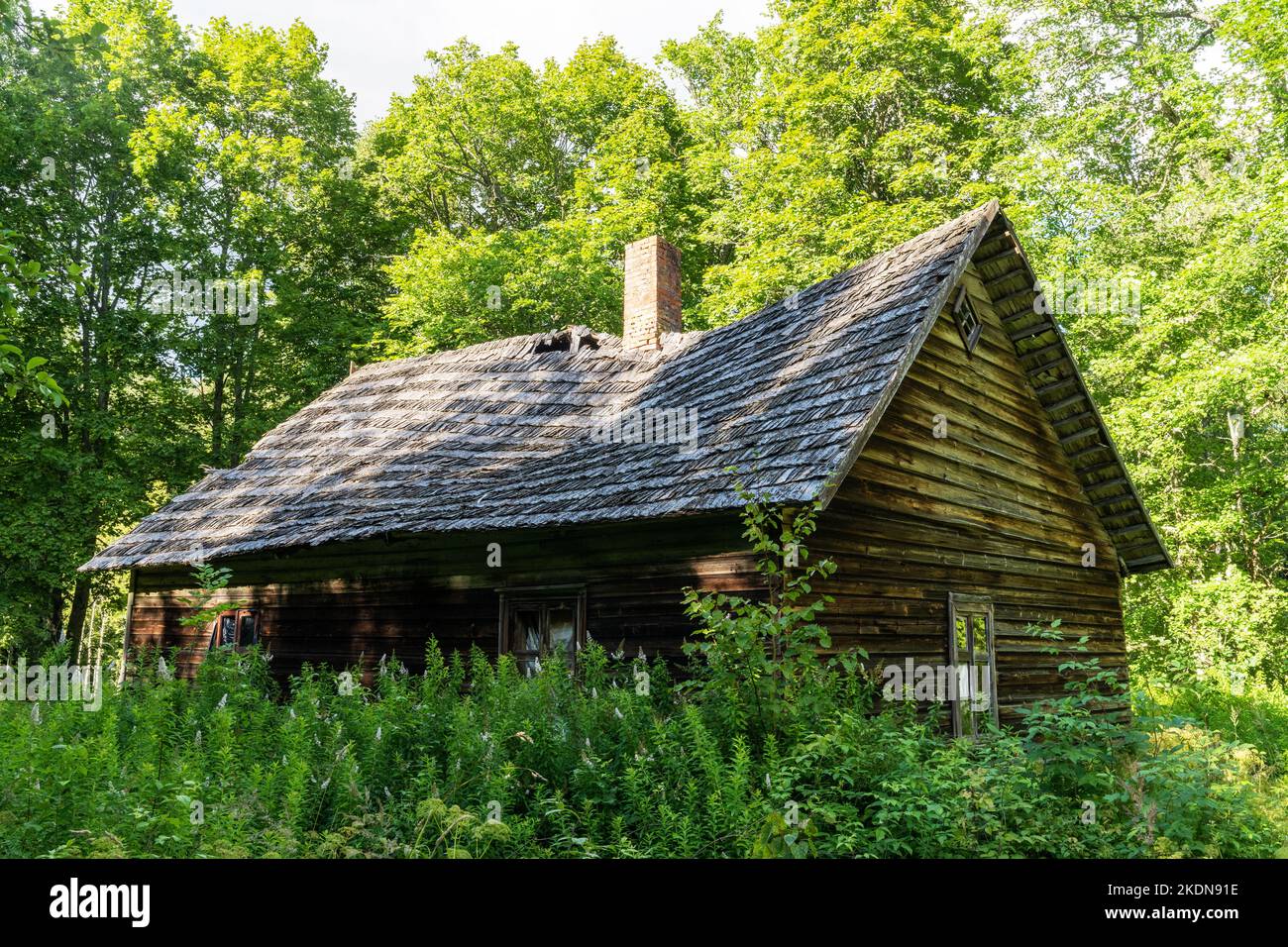 Un ancien bâtiment en bois abandonné au milieu d'une forêt luxuriante dans le parc national de Soomaa, en Estonie Banque D'Images