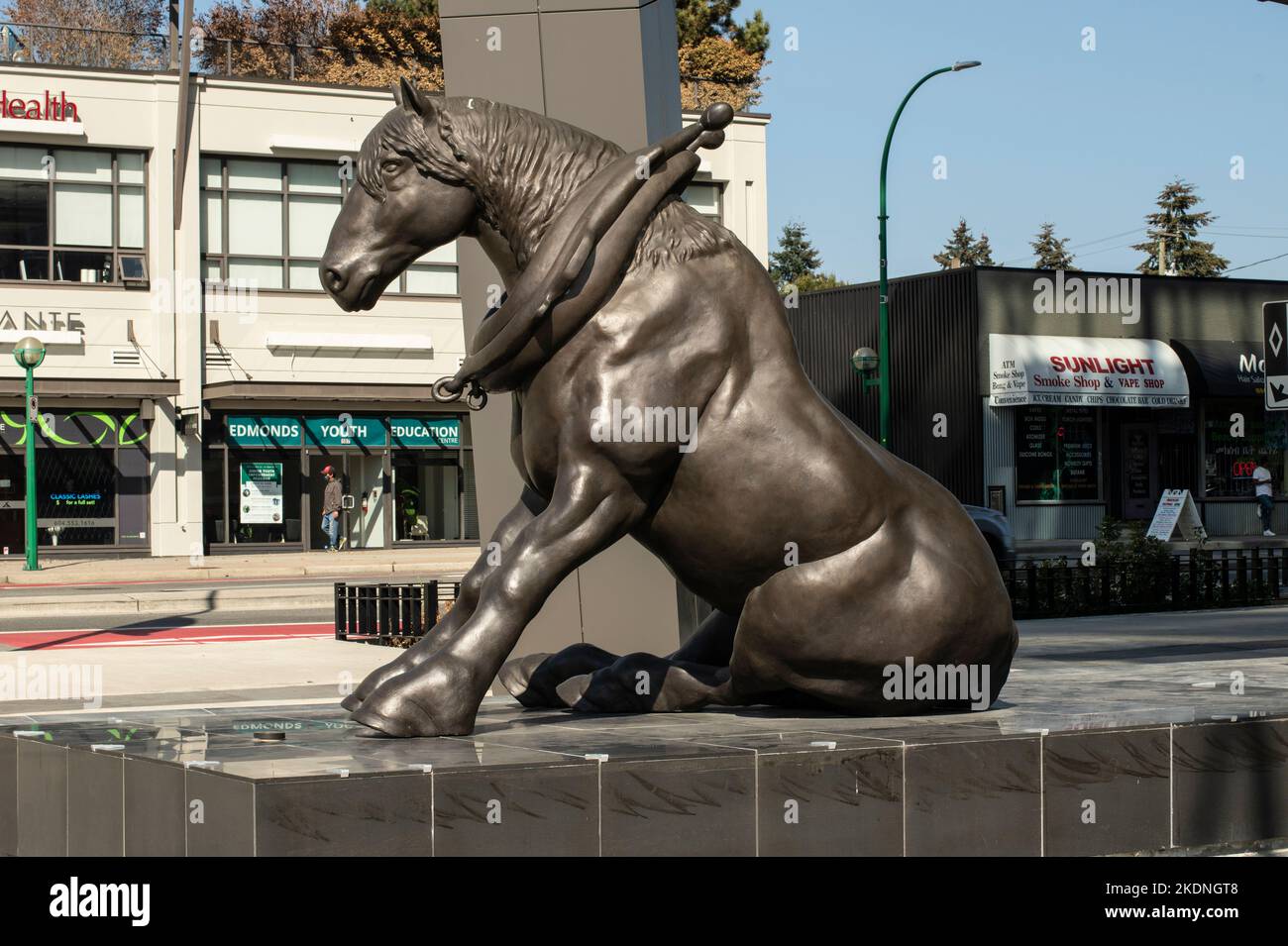 The Retired Draft Horse and the Last tired Log, Burnaby (Colombie-Britannique), Canada Banque D'Images