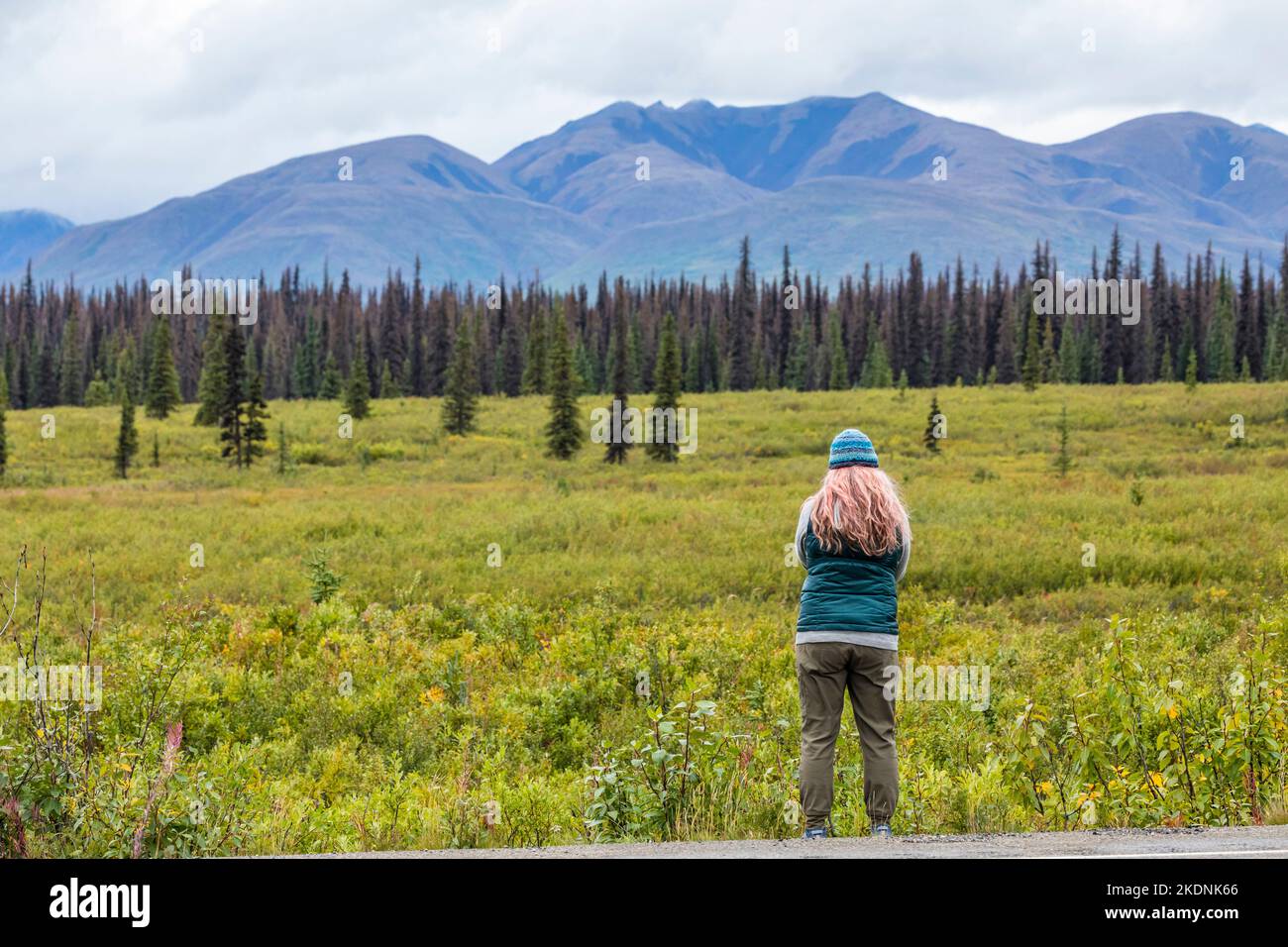 Une femme qui prend des photos le long de la route 3 de Parcs, Alaska, 2022. Banque D'Images