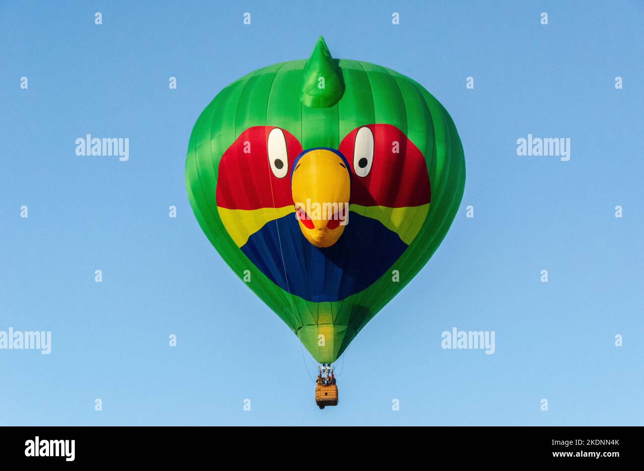 Balloon parrot Banque de photographies et d'images à haute résolution -  Alamy