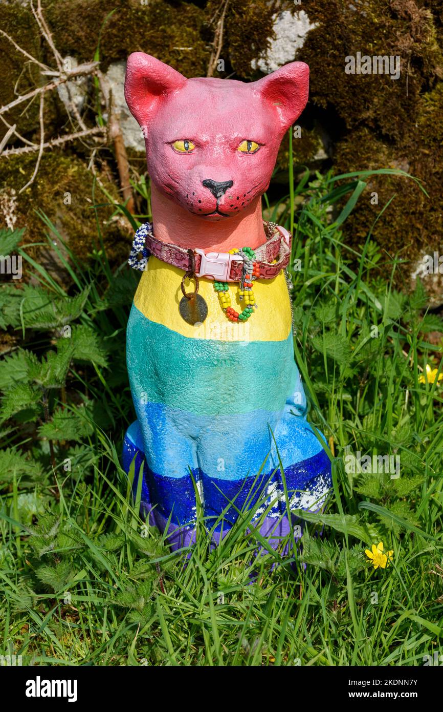 Carola. Un des chats sur le Cats Gu Leor (gaélique pour beaucoup de chats) Trail, île de Canna, Écosse, Royaume-Uni Banque D'Images