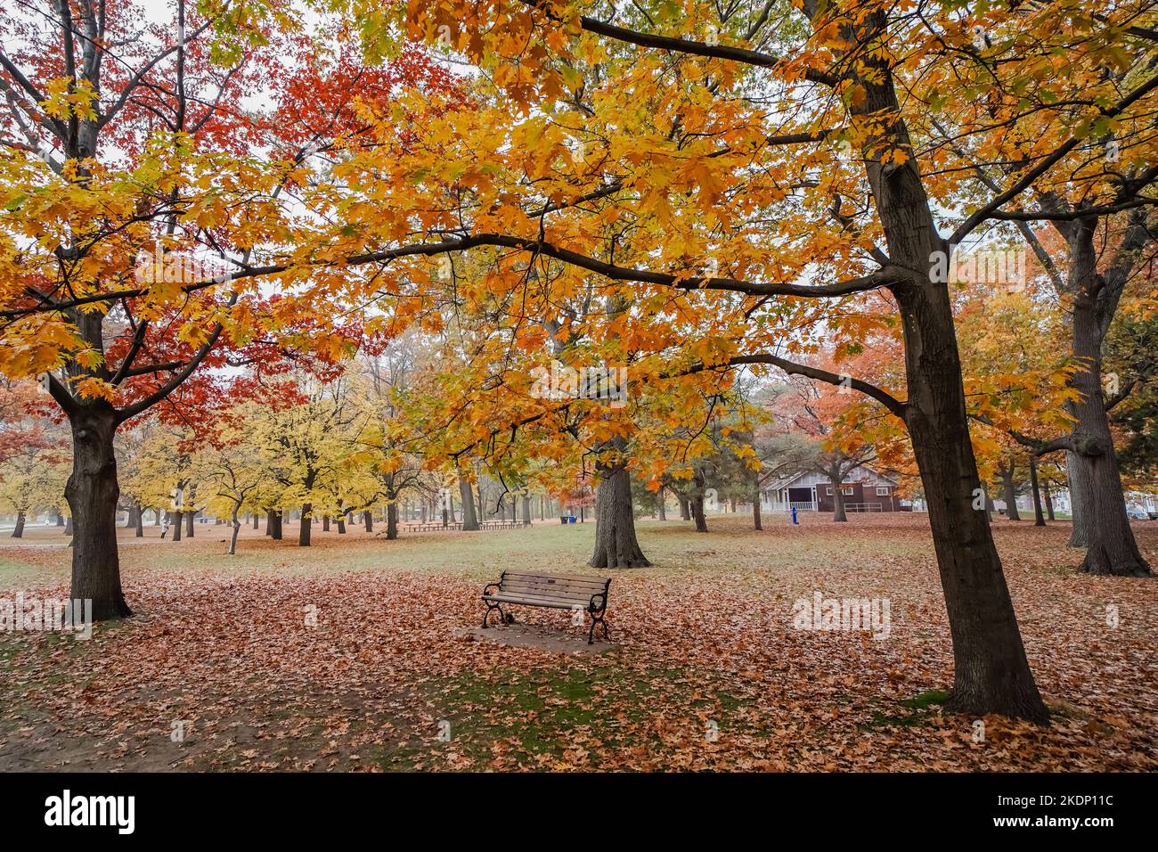 Banc vide à l'intérieur d'un parc entouré de feuilles d'arbre jaune-orange-rouge pendant l'assaisonnement d'automne en Amérique du Nord des états-unis ou au canada Banque D'Images