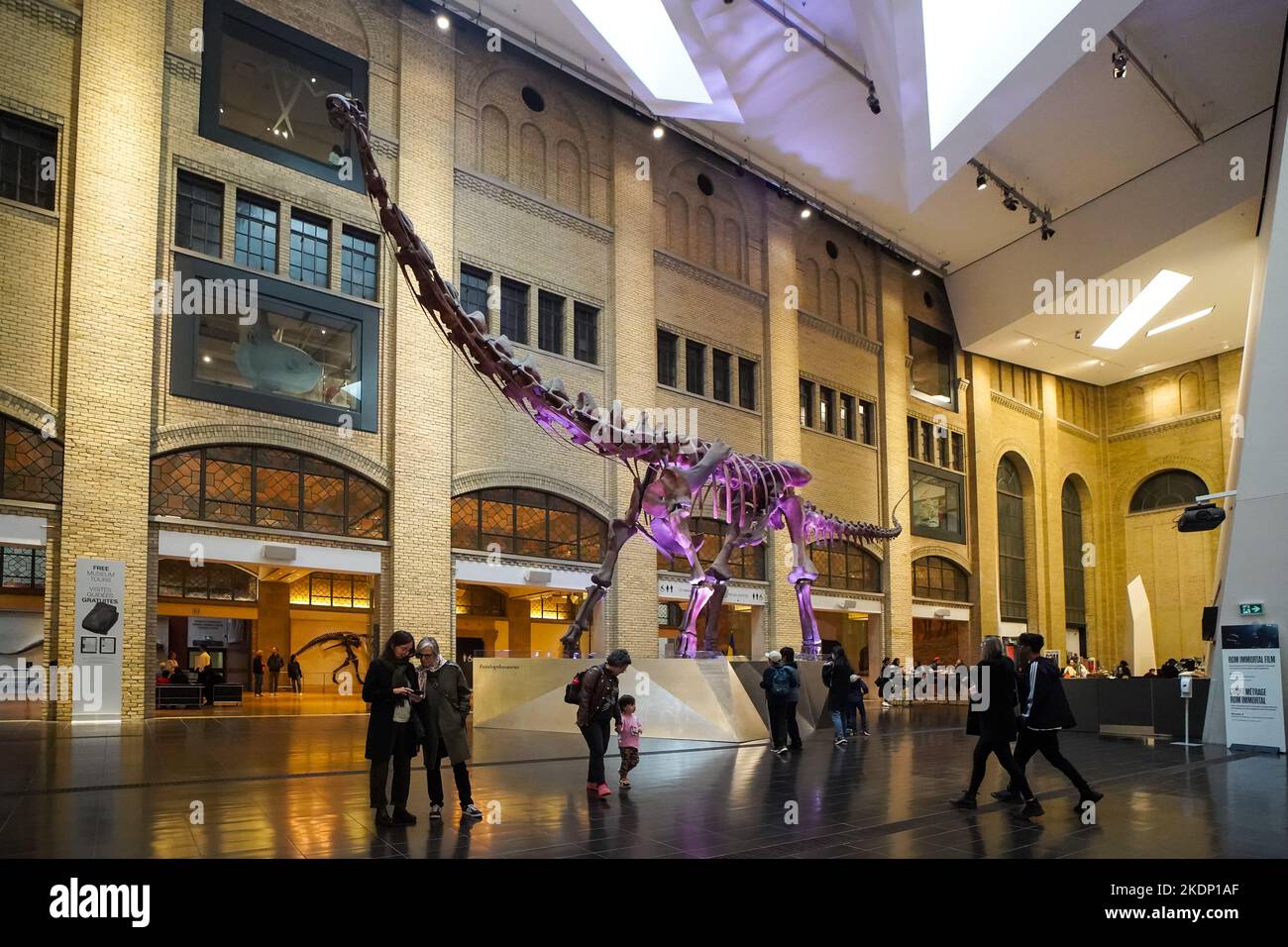Jacinthe Gloria Chen Crystal court à l'intérieur du Musée royal de l'Ontario à Toronto, au Canada, se trouve un atrium de trois étages. Une réplique du squelette de Futalognkosa Banque D'Images