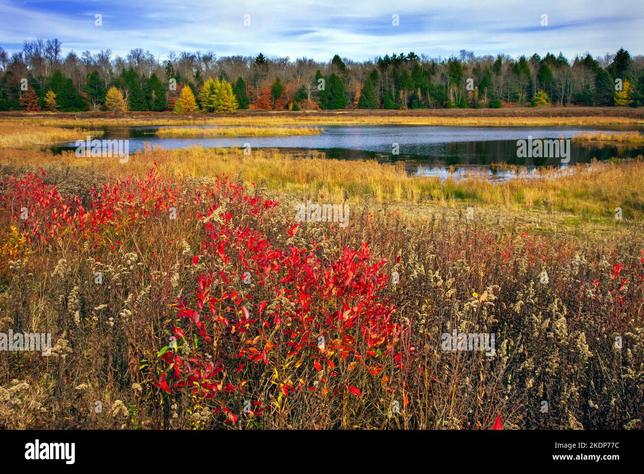 Upper Klondike Pond, avec sa sœur Lower Klondike Pond, sur les sources de la rivière Lehigh, dans les monts Pocono de Pennsylvanie, où importa Banque D'Images
