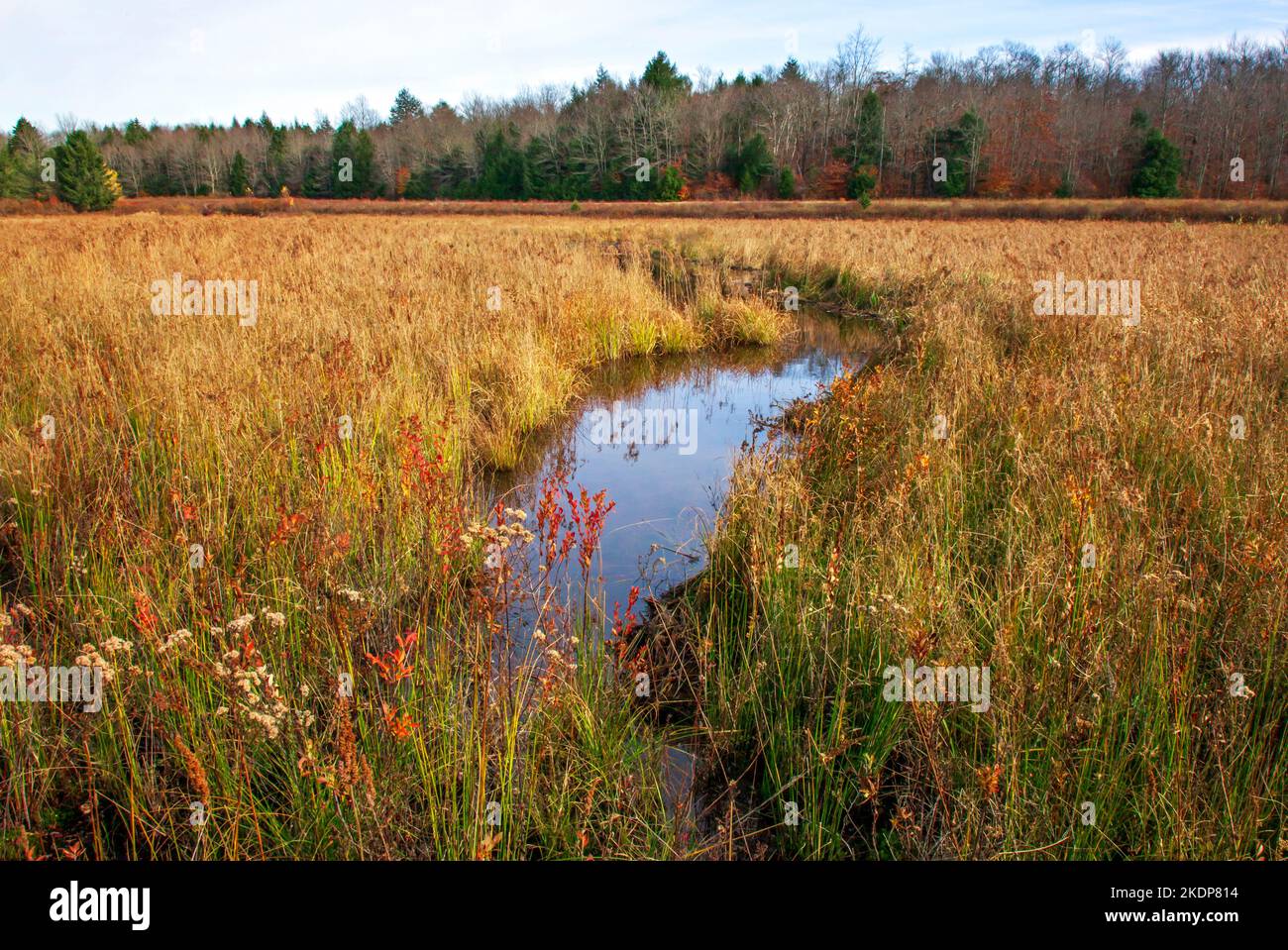 Upper Klondike Pond, avec sa sœur Lower Klondike Pond, sur les sources de la rivière Lehigh, dans les monts Pocono de Pennsylvanie, où importa Banque D'Images