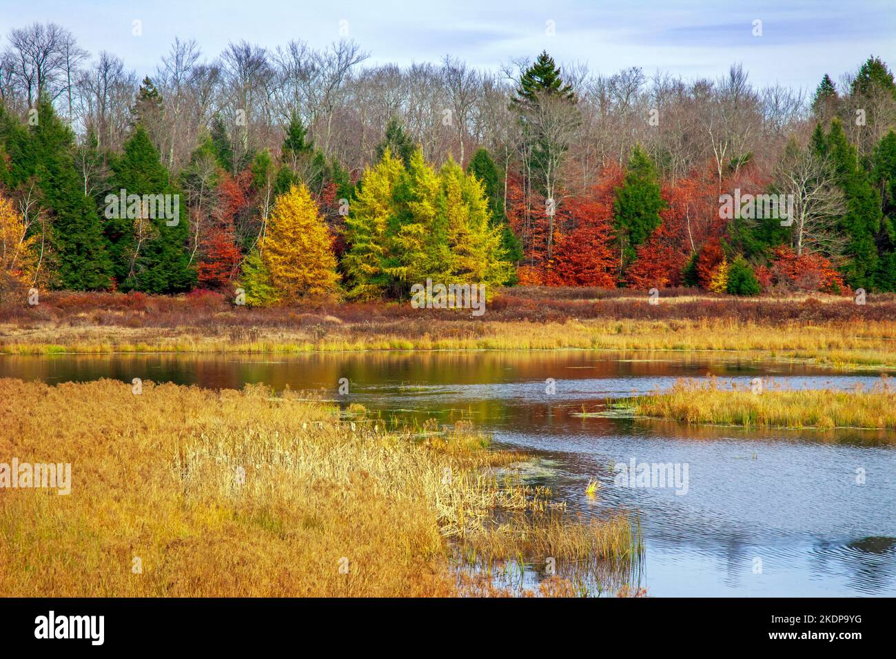 Upper Klondike Pond, avec sa sœur Lower Klondike Pond, sur les sources de la rivière Lehigh, dans les monts Pocono de Pennsylvanie, où importa Banque D'Images