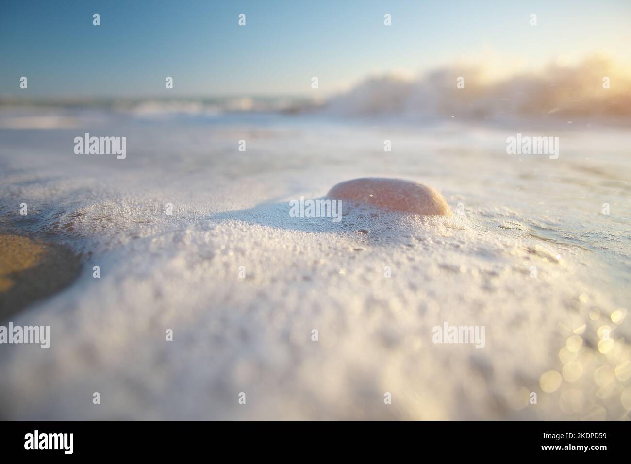 La pierre de mer et la mousse ondulée pendant le coucher du soleil. Banque D'Images