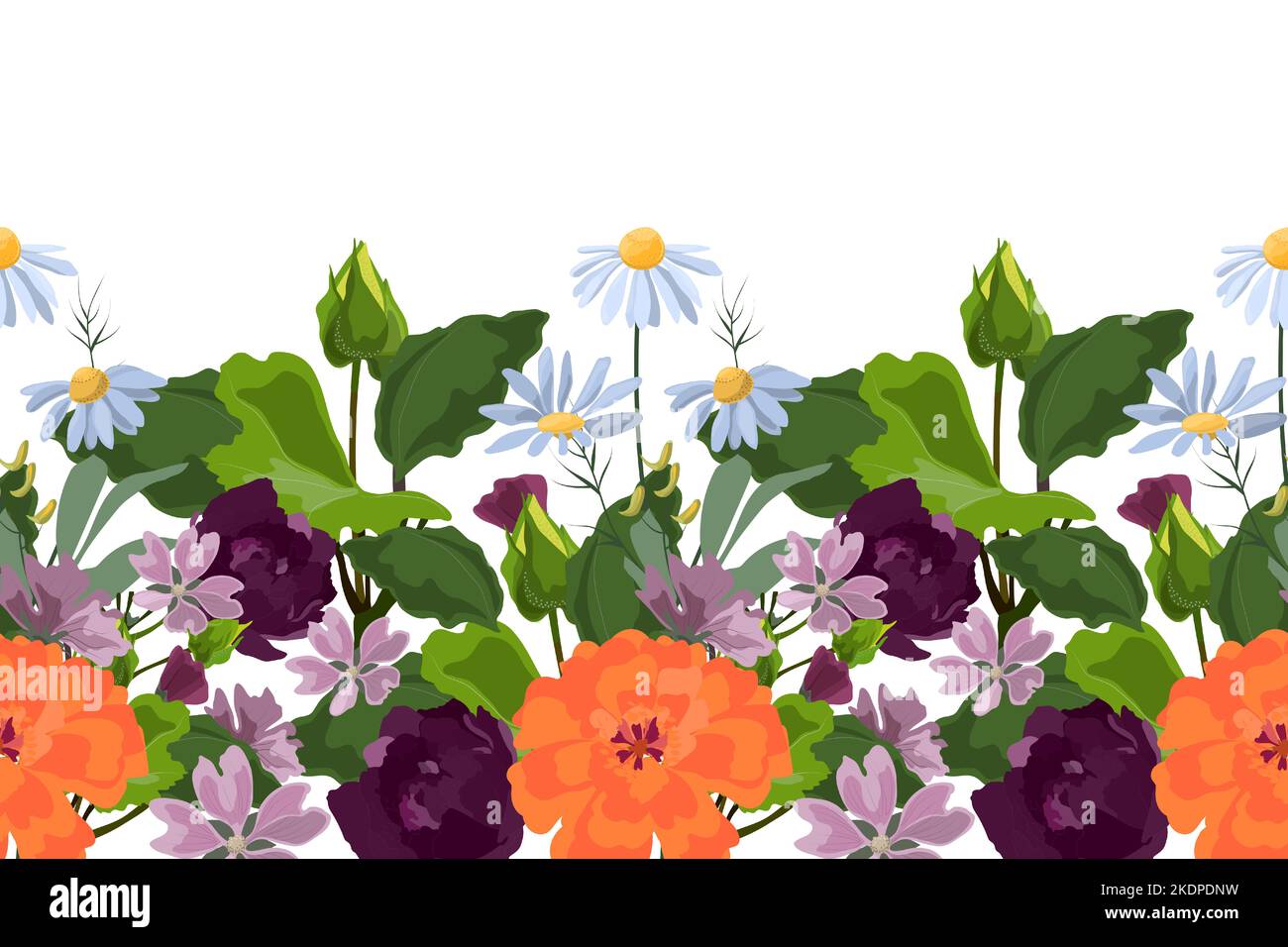 Motif fleuri vectoriel sans couture, bordure. Design horizontal panoramique avec prairie, fleurs de jardin et herbes sur fond blanc. Illustration de Vecteur