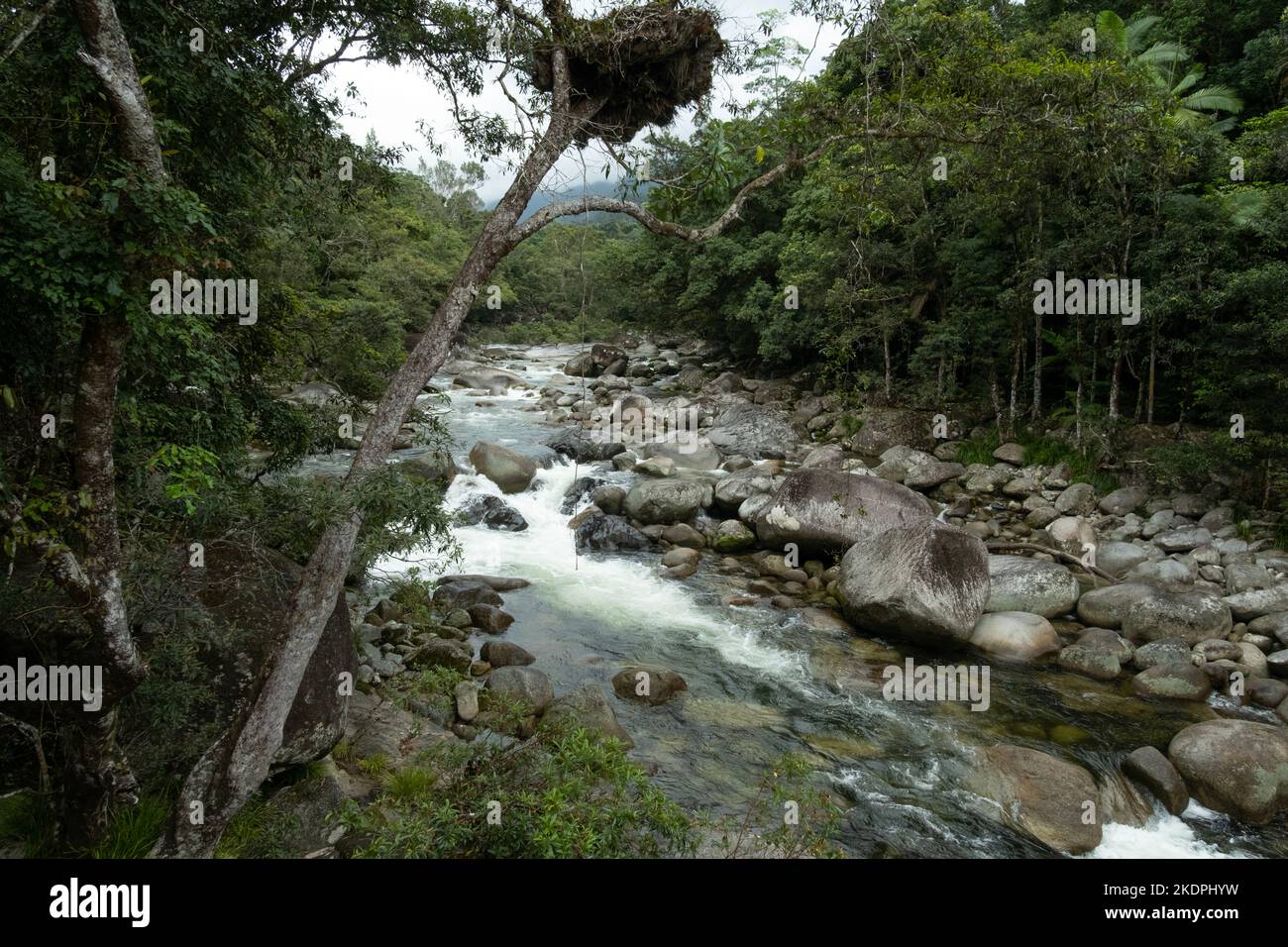 Mossman River dans la gorge Mossman, parc national de Daintree dans le Queensland, Australie Banque D'Images