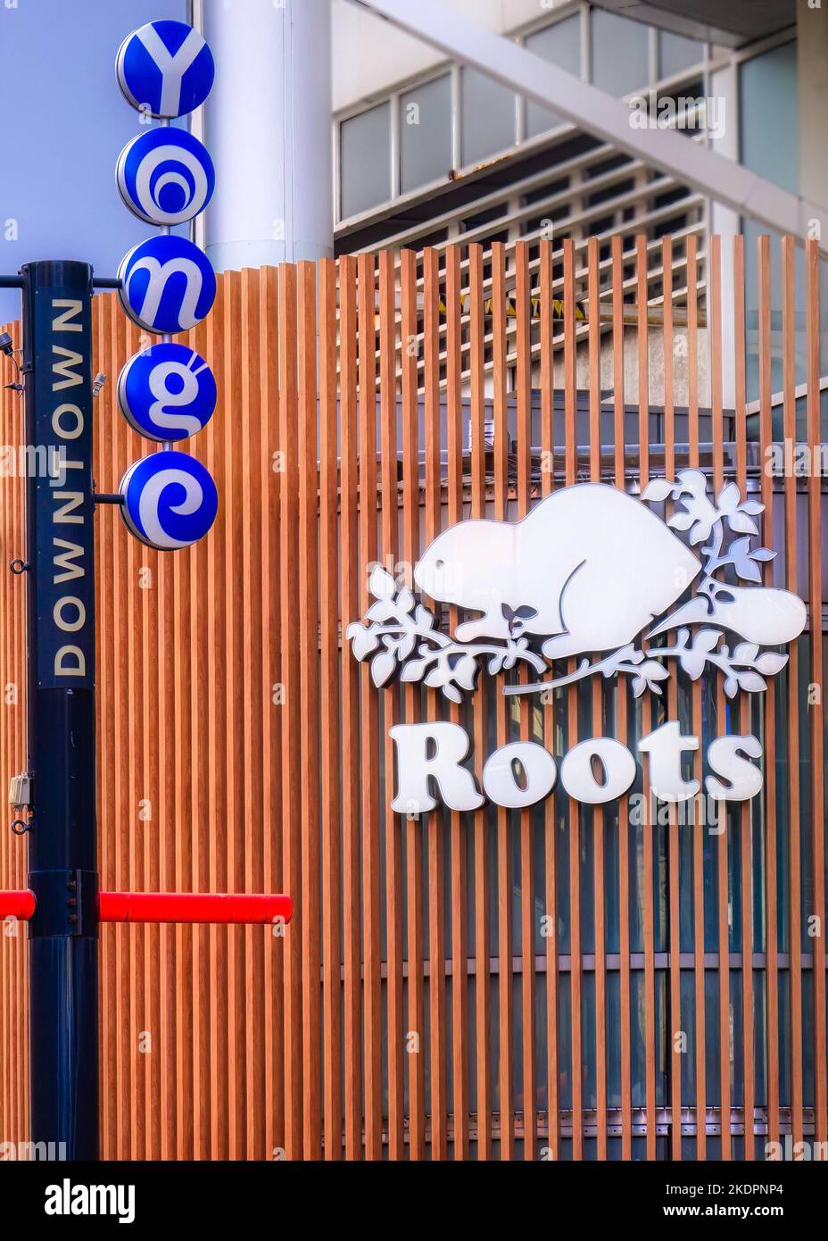 Toronto, Canada - 5 novembre 2022 : logo Roots dans la rue Yonge, dans le quartier du centre-ville. Banque D'Images