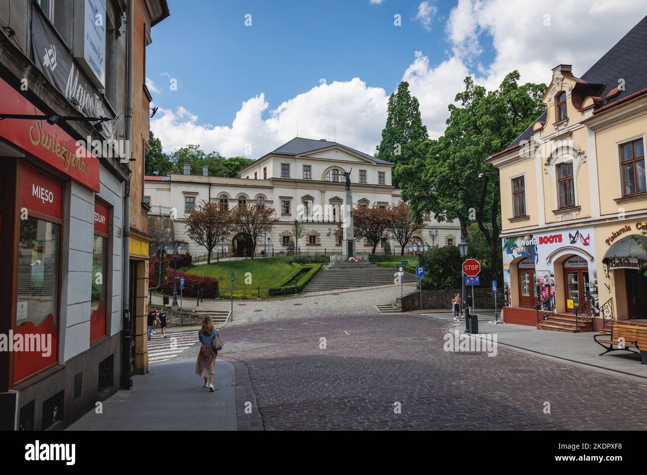 Le château de Cieszyn, bastion gothique-renaissance de la ville frontalière de Cieszyn en Pologne Banque D'Images