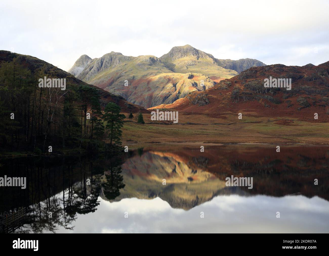 Vue d'automne sur Blea tarn dans le quartier des lacs, Cumbria, Angleterre, Royaume-Uni. Banque D'Images