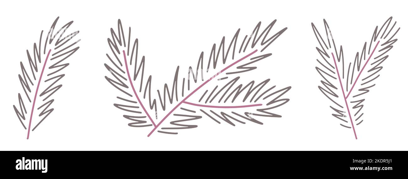 Branches de l'arbre de Noël. Jeu d'aiguilles en pin. Illustration vectorielle. Éléments de décoration de Noël Illustration de Vecteur