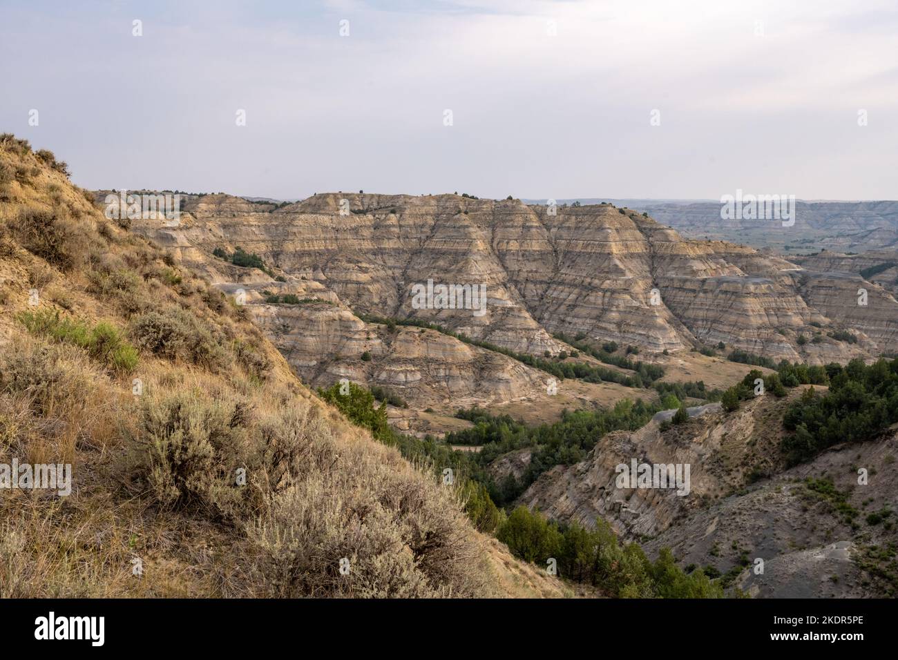 Des couches de boue et de roche séchées composent les formations des Badlands dans le parc national Theodore Roosevelt Banque D'Images